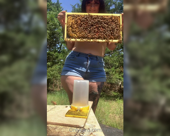 Freyjaluv - Contribute so I can expand my apiary,  Big Tits, Amateur