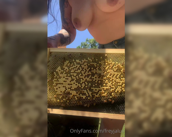 Freyjaluv - Contribute so I can expand my apiary,  Big Tits, Amateur