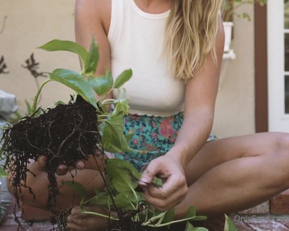 Nakedbakerstv - Working on a little indoor plant project.