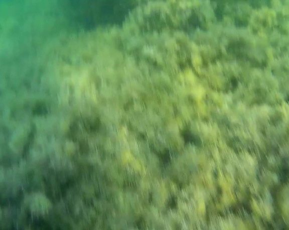 PregnantMiodelka - Diver filmed a girl fingering underwater, Public Nudity, Public Outdoor, Hairy, Masturbation, Underwater Fetish, ManyVids