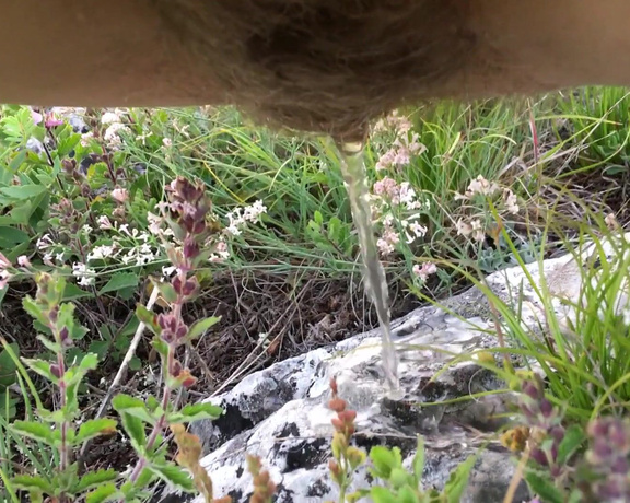 PregnantMiodelka - Sunset pee nature on the grass and stone, Pee, Hairy, Hairy Bush, Outdoors, Public Outdoor, ManyVids