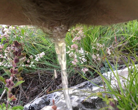 PregnantMiodelka - Sunset pee nature on the grass and stone, Pee, Hairy, Hairy Bush, Outdoors, Public Outdoor, ManyVids