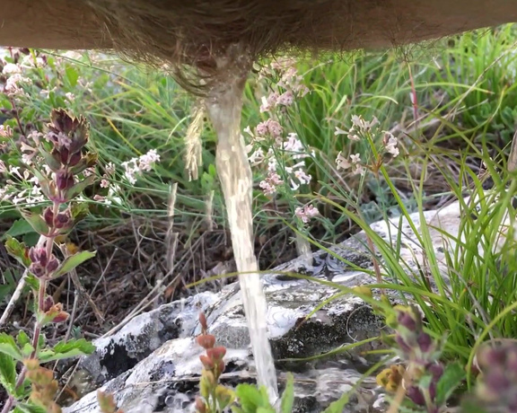 PregnantMiodelka - Sunset pee nature on the grass and stone, Pee, Hairy, Hairy Bush, Outdoors, Public Outdoor, ManyVids