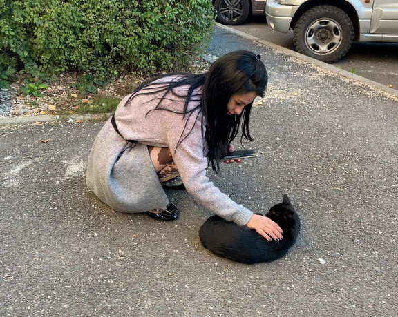 Anisyia - So me and this stray cat became friends