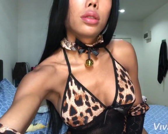 Ladyboymos - (Ladyboy Mos) - Live video today sexy leopard