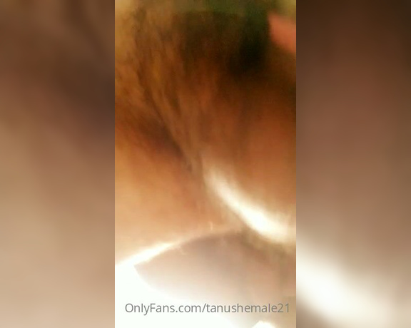 Tanushemale21 (Tstanu) OnlyFans Video 142