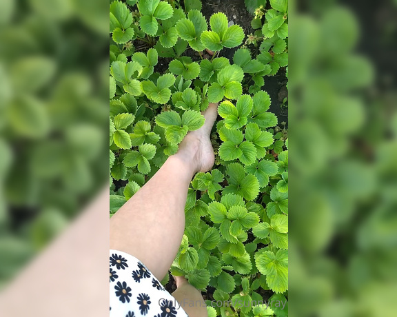 Sunny Ray aka Sunnyray - Summer walk barefoot in a strawberry field