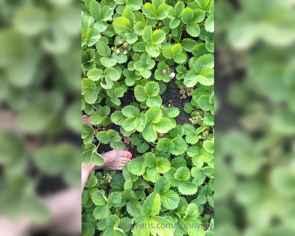 Sunny Ray aka Sunnyray - Summer walk barefoot in a strawberry field