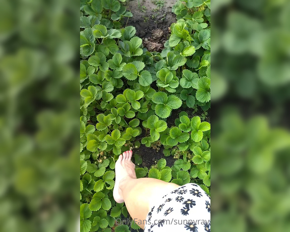 Sunny Ray aka Sunnyray - I love walking barefoot in the countryside. Do you want to see my soles covered in dirt Then lets 1