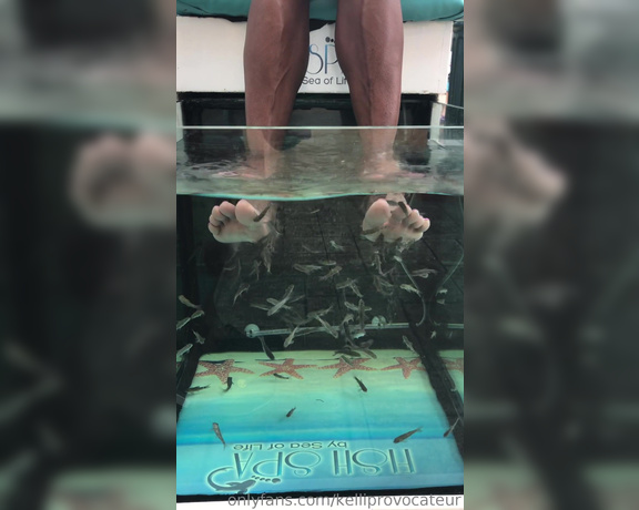 Kelli Provocateur aka Kelliprovocateur - Goddess loves a foot spa !! While in Cancun I tried a fish spa .. it felt so good and reminded