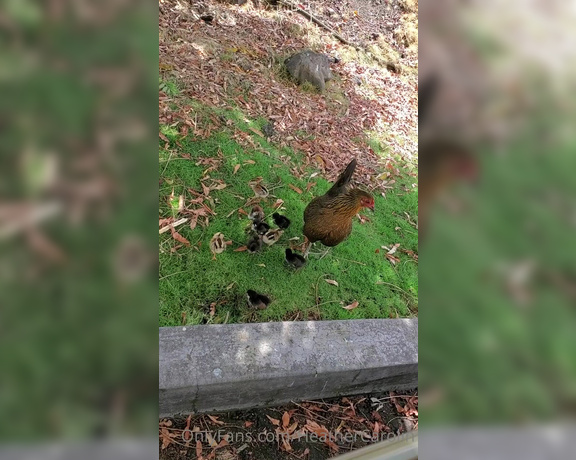 Heather Carolin aka Heathercarolin - I love the nature here. Look what I saw in the grocery store parking lot  They are so tiny-