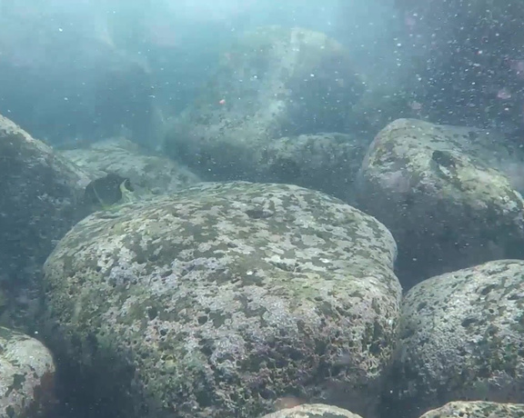 Heather Carolin aka Heathercarolin - Snorkeling video Come see all of the fish underwater in this special place So many that only exist-