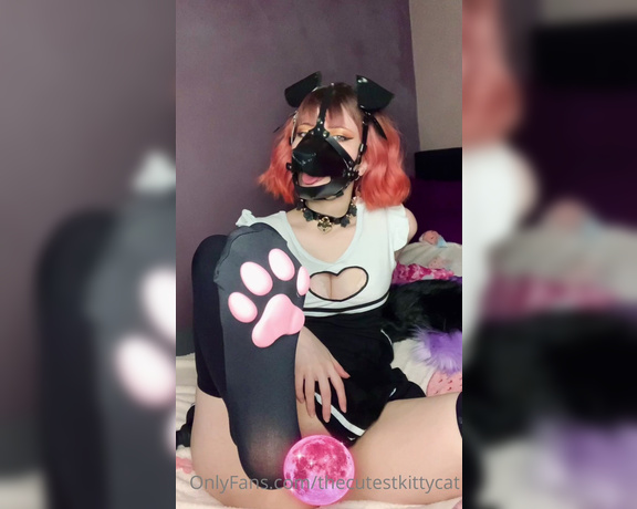 Misty silver aka Thecutestkittycat OnlyFans - More naughty puppy girl!!! In my super revealing micro kini and bratty littleforbig outfit woof! I 6