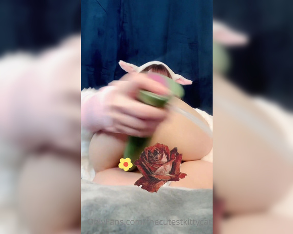 Misty silver aka Thecutestkittycat OnlyFans - Using a 12 inch BEAST of a tentacle from sinnovator in my ass for the first time! I honestly couldn’
