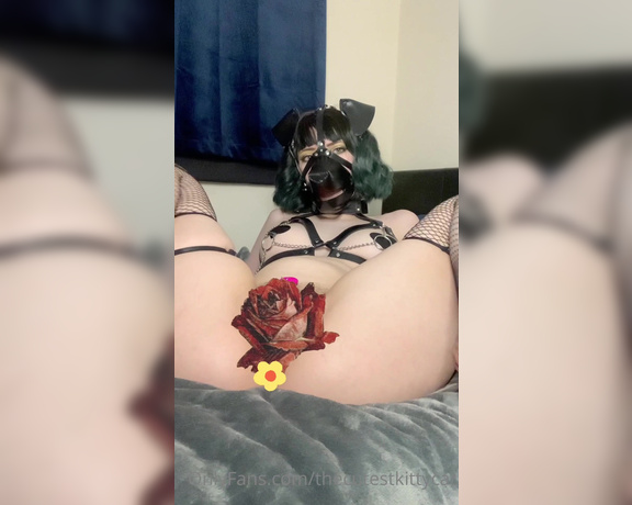 Misty silver aka Thecutestkittycat OnlyFans - Using my lovelense vibrator for the first time sorry for the little yellow flower, it felt so good