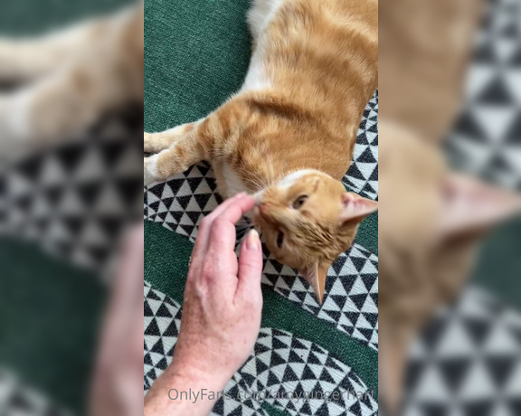 Amy Hart aka Amygingerhart OnlyFans - Squirrel is not the only one who wants to be petted first thing in the morning 3