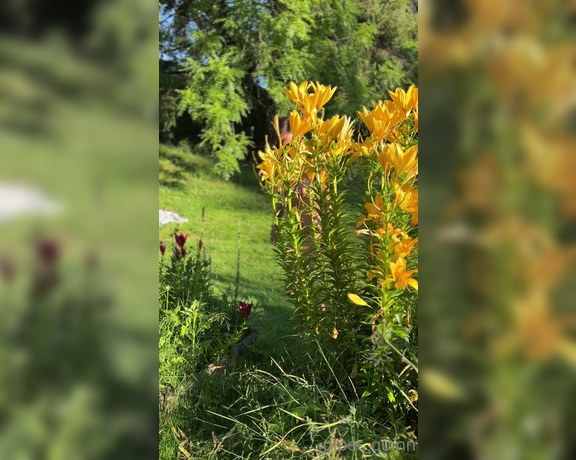 Piper Quinn OnlyFans aka Piper_quinn - Just a happy girl among the pretty flowers