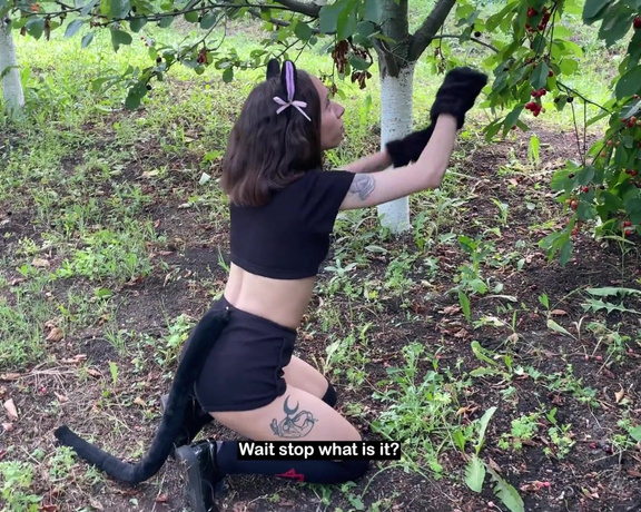 Pantera_Nika - Catgirl stealing sweet cherries from my garden and then tasting my dick