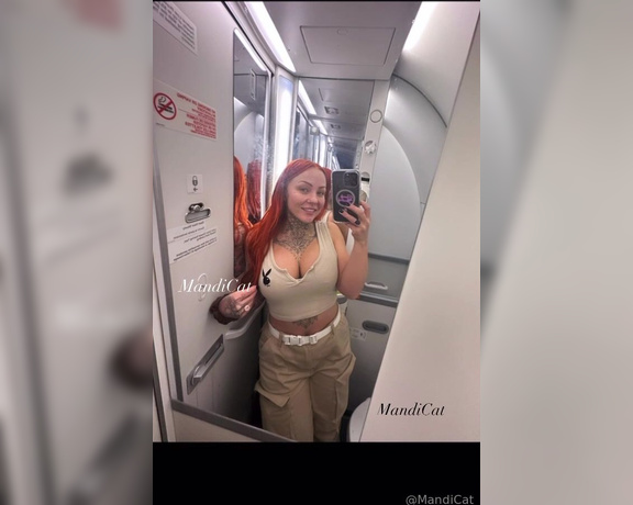 Mandicat OnlyFans - Long flights means… private single stall bathroom