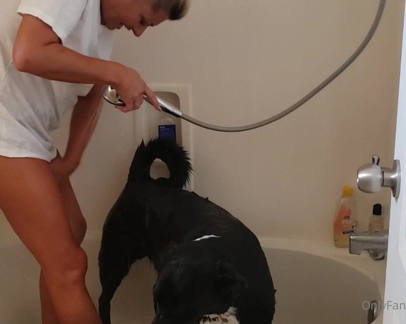 Angel Kesabel aka Angelkesabel OnlyFans - Giving my doggies a bath and got a little wet get wet with me