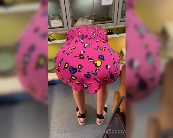 Momof5booty OnlyFans - The ever popular candid shopping upskirt!! This time at a pet shop and a furniture store! I hope y 2