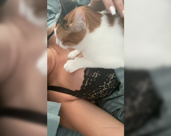 Swedish Bella aka Miss_swedish_bella OnlyFans - My cat definitely approves of the boobies lol