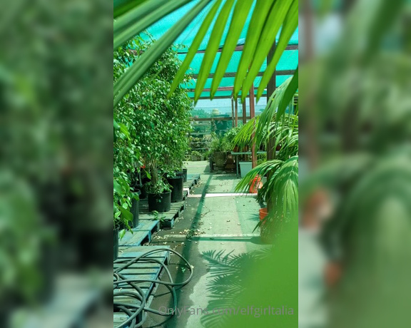 Talia aka Elfgirltalia OnlyFans - Seems like no one was around this greenhouse to spy on me ) silly leaf, getting in the way of the ca
