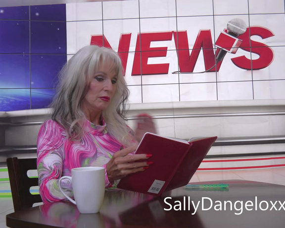 Sally Dangelo - The Alley Cat Burglar