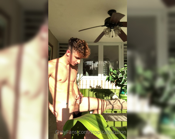 Tropical Passion aka Tropicalpassion OnlyFans - Un videito individual en el balcn, sintiendo la libertad de la naturaleza para las baby’s