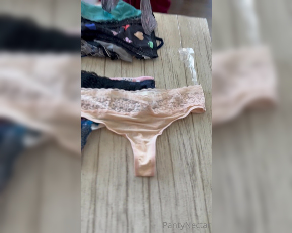 PantyNectar aka Pantynectar OnlyFans - PANTY HAUL!!! Let me know which are your faves!