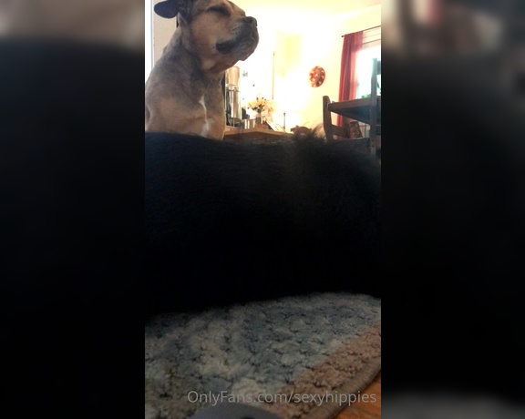 Melissa aka Sexyhippies OnlyFans - Dog’s perspective of a big ole preggo lady!