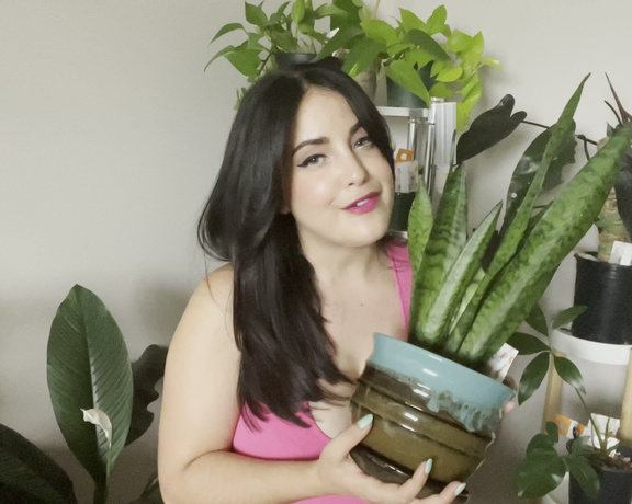 GirlOnTop880 - Which Houseplant is Right for You, Gardening, SFW, Free, PAWG, Big Tits, ManyVids
