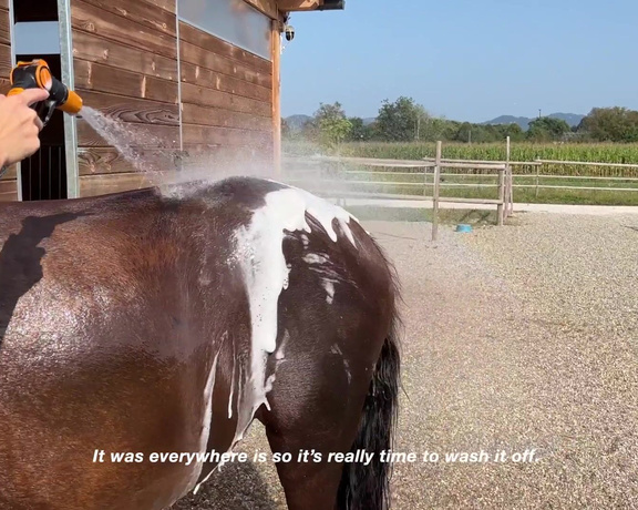 Sophie aka Sophiesouth OnlyFans - SPA DAY WITH MY HORSE