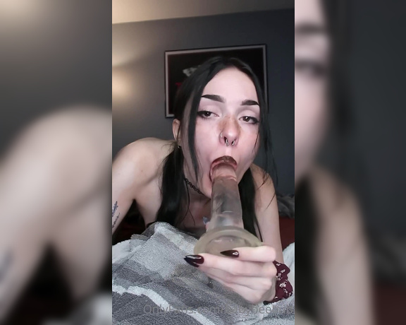BabyBeeBub aka Babybeebub OnlyFans - Can I suck your cock like this I want all your cum down my throat