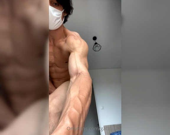 Youssef khelil aka Gattouz0 OnlyFans - New cuming video