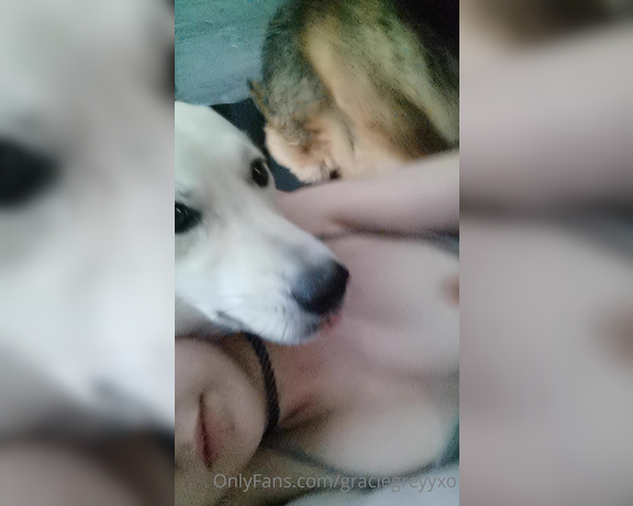 GracieGreyyxo aka Graciegreyyxo OnlyFans - This pooch is always protecting her hooman