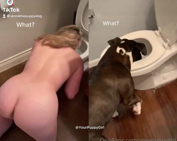 Jenna aka Yourpuppygirl OnlyFans - You forgot to refill my water bowl did I do something wrong