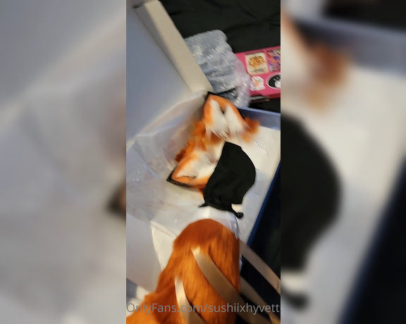 Sushii Xhyvette aka Sushiixhyvette OnlyFans - New butt plug tail reveal day! This foxy fox tail and ears just arrived today, so get your customs 1