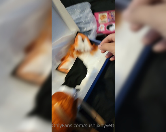 Sushii Xhyvette aka Sushiixhyvette OnlyFans - New butt plug tail reveal day! This foxy fox tail and ears just arrived today, so get your customs 1