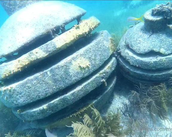 Monica Santhiago XXX aka Monsanthiagoxxx OnlyFans - Swimming with the whale shark and visiting underwater museum in CancunMEXICO Nadando com o tuba 2