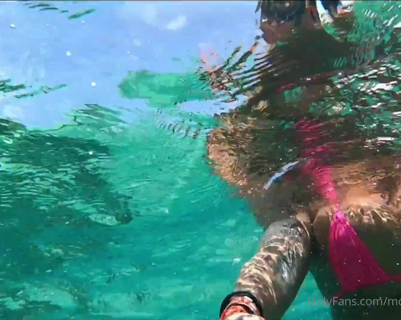 Monica Santhiago XXX aka Monsanthiagoxxx OnlyFans - Swimming with the whale shark and visiting underwater museum in CancunMEXICO Nadando com o tuba 2