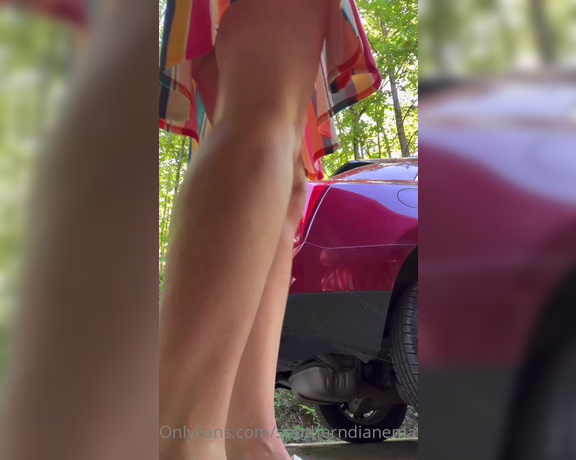 Diane Marie aka Southerndianemarie OnlyFans - Want to lay on the ground and I walk over you