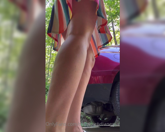 Diane Marie aka Southerndianemarie OnlyFans - Want to lay on the ground and I walk over you