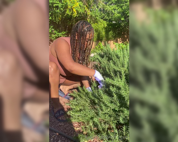 Professor Gaia aka Professor_gaia OnlyFans - Working on my rosemary bush and listening to the birds