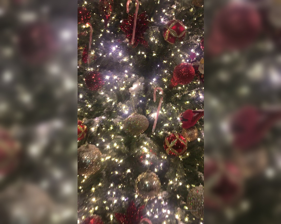 Diamond Foxxx aka Diamond_foxxx OnlyFans - Here it is! This is the Christmas tree all you wonderful men helped me get! Do you like the white
