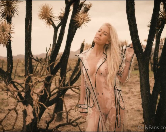 Tabitha Stevens aka Tabithastevens OnlyFans - Part 2 of my striptease out in the burnt Joshua Tree forest REMEMBER to check your messages for lin