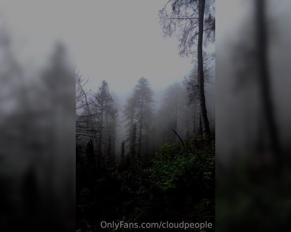 Cloudpeople aka Cloudpeople OnlyFans - The fog feels like a thin transparent veil that some type of airy creature soon will walk out of and