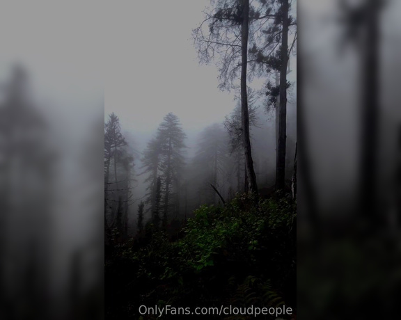 Cloudpeople aka Cloudpeople OnlyFans - The fog feels like a thin transparent veil that some type of airy creature soon will walk out of and