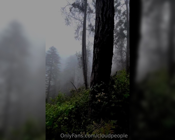 Cloudpeople aka Cloudpeople OnlyFans - The fog feels like a thin transparent veil that some type of airy creature soon will walk out of and