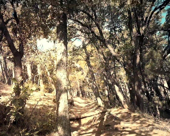 Rebecca Love aka Rebeccalovexxx OnlyFans - SpyCam 7 mile hike in Arizona  Do you like to go hiking